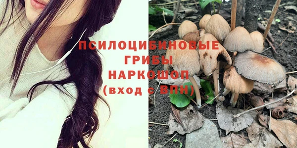 круглые Абаза