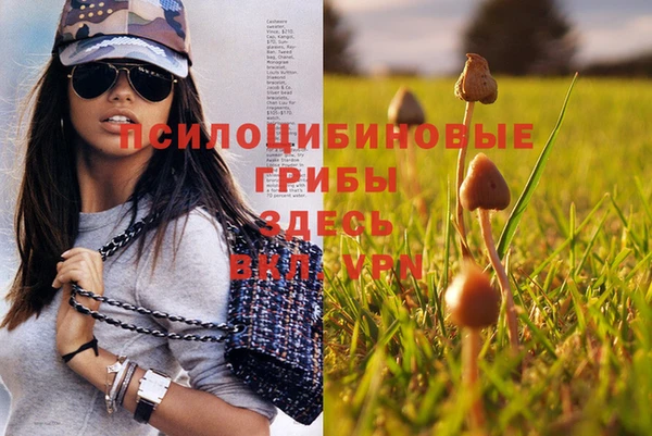 прущий лед Абдулино