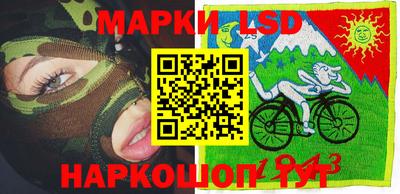 крисы Гатчина