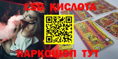 крисы Гатчина