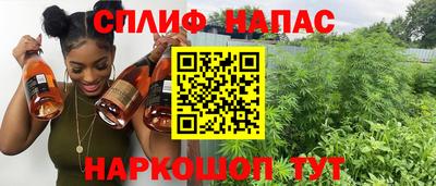 крисы Гатчина
