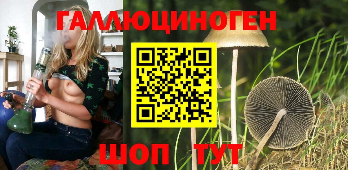 Старая Купавна  Галлюциногенные грибы прущие грибы  Галлюциногенные грибы мицелий  Вход с VPN 